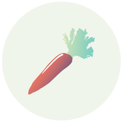 Carrot