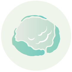 Cauliflower