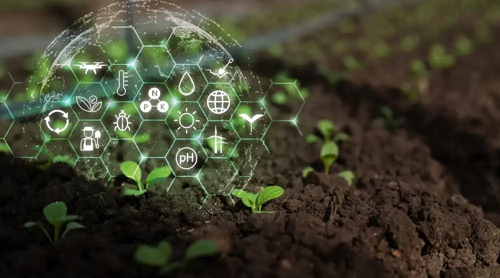 Establishment Performance in Agriculture