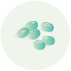 Green Gram