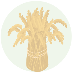Wheat