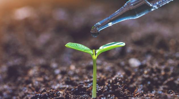 agriculture biotechnology