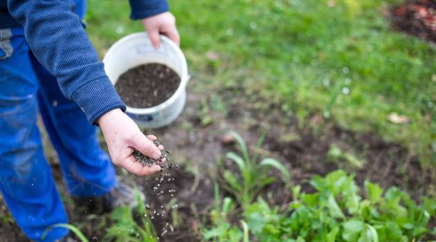 Biofertilizers in Sustainable Agriculture