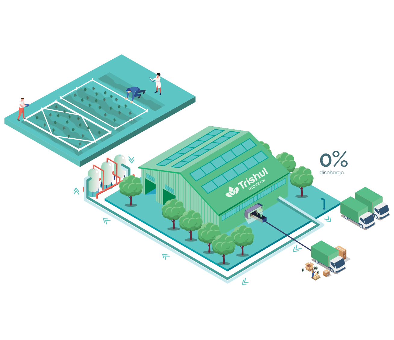 environmental sustainability