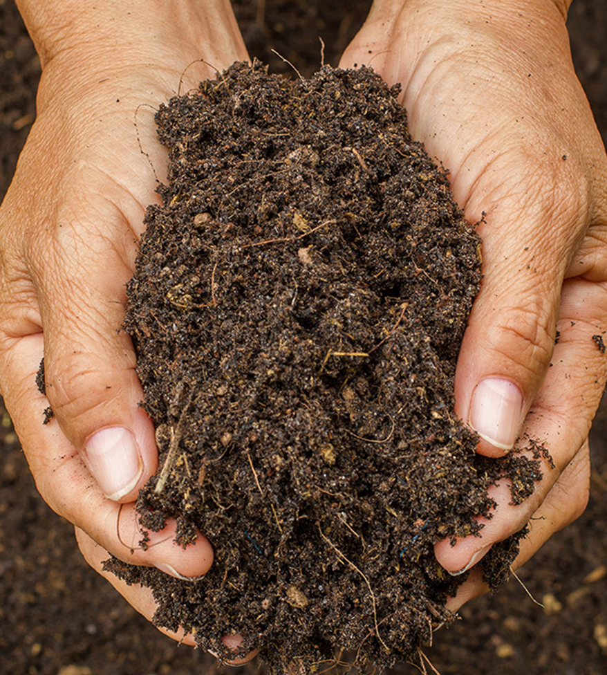 Soil Health Science