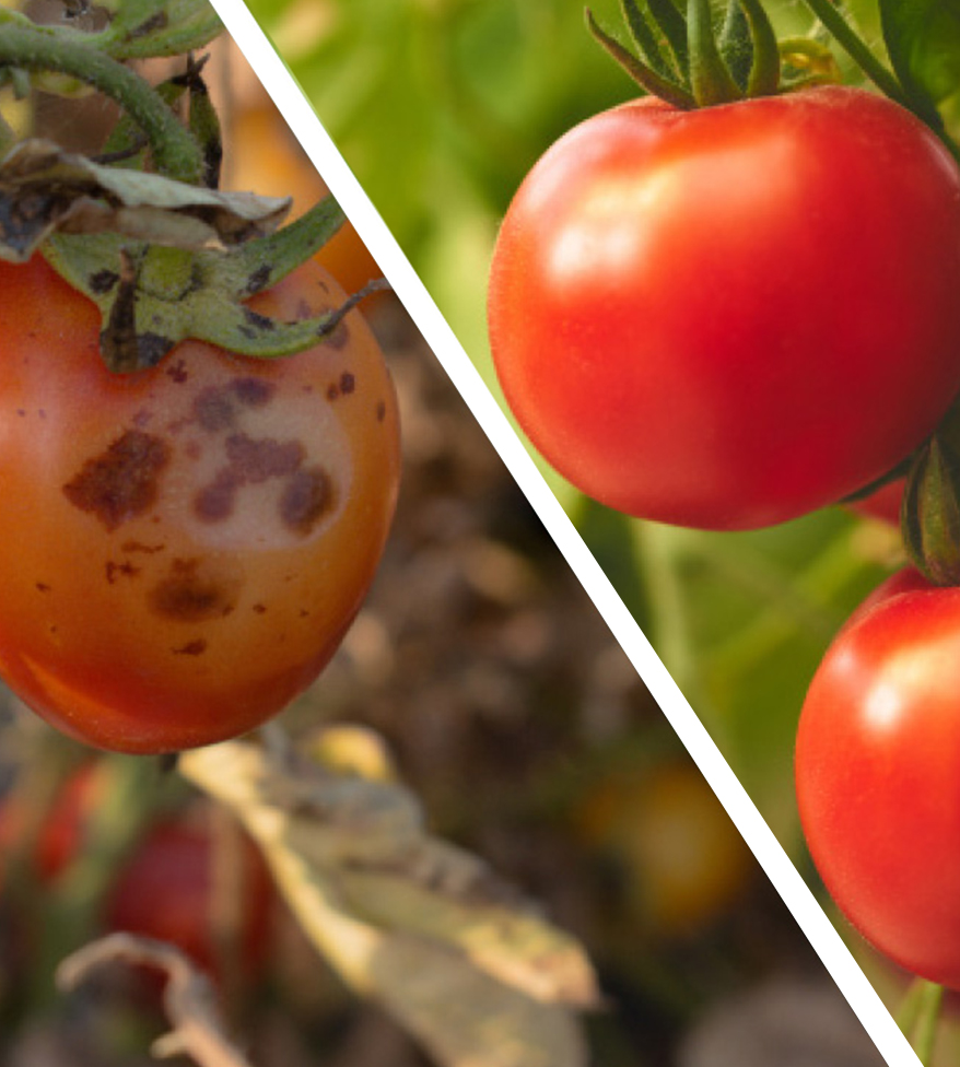 Stress Management Science