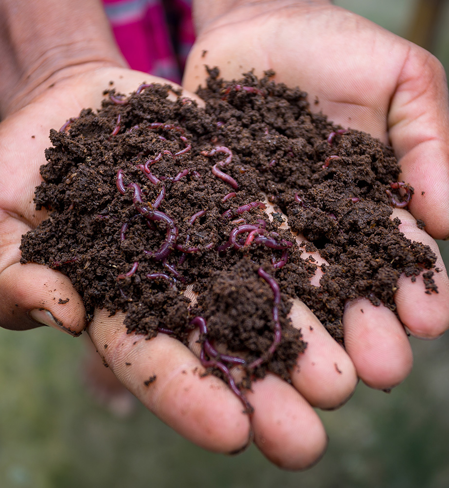 organic fertilizer manufacturer