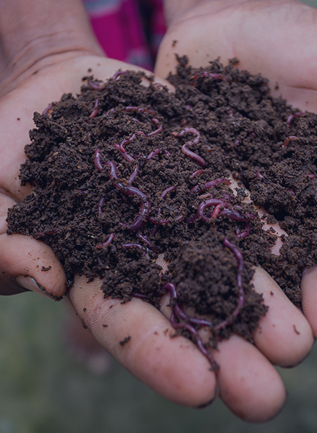 technology to improve soil health