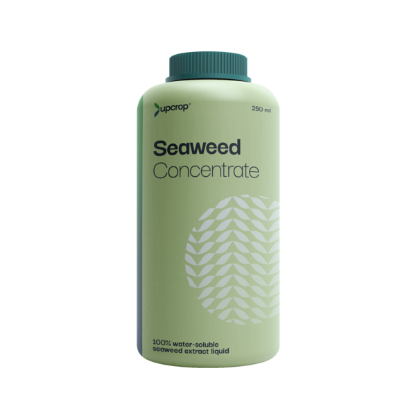 upcrop seaweed liquid concentrate