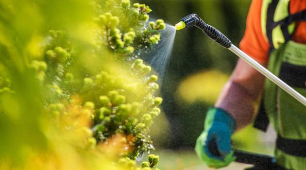 use of biofertilizers in agriculture